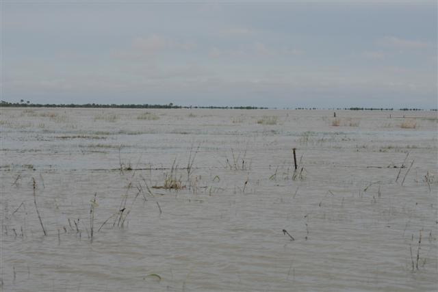 Karumba flood plain